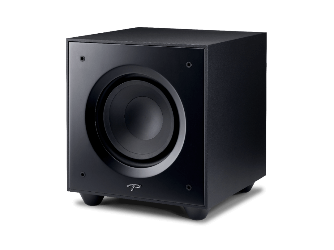 Paradigm Defiance V10 Subwoofer